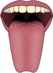 pb tongue